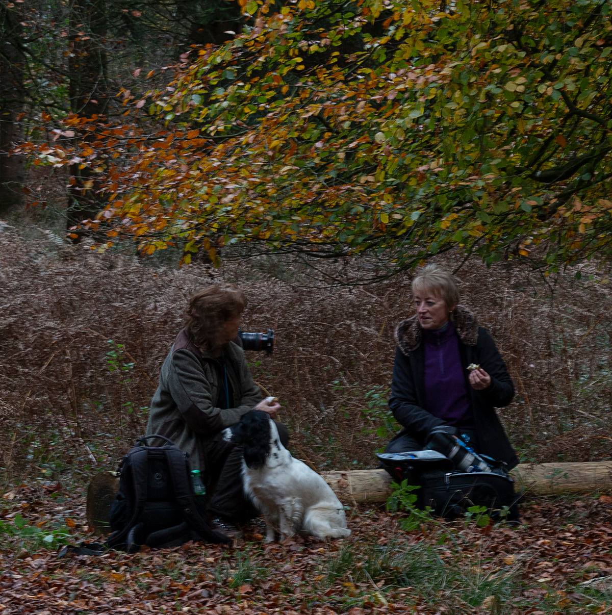 Photo of Kit and Pam tucking in to their picnic lunch