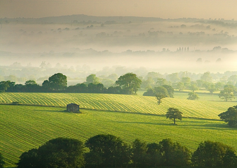 Photo of a misty morning in June 2009