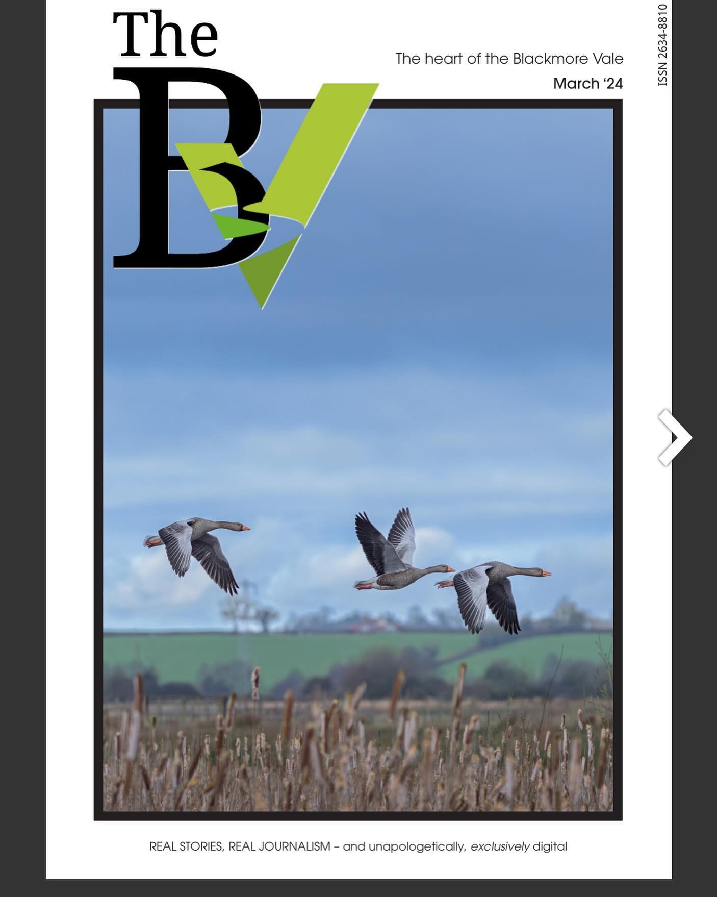 Image of BV Magazine cover with geese flying