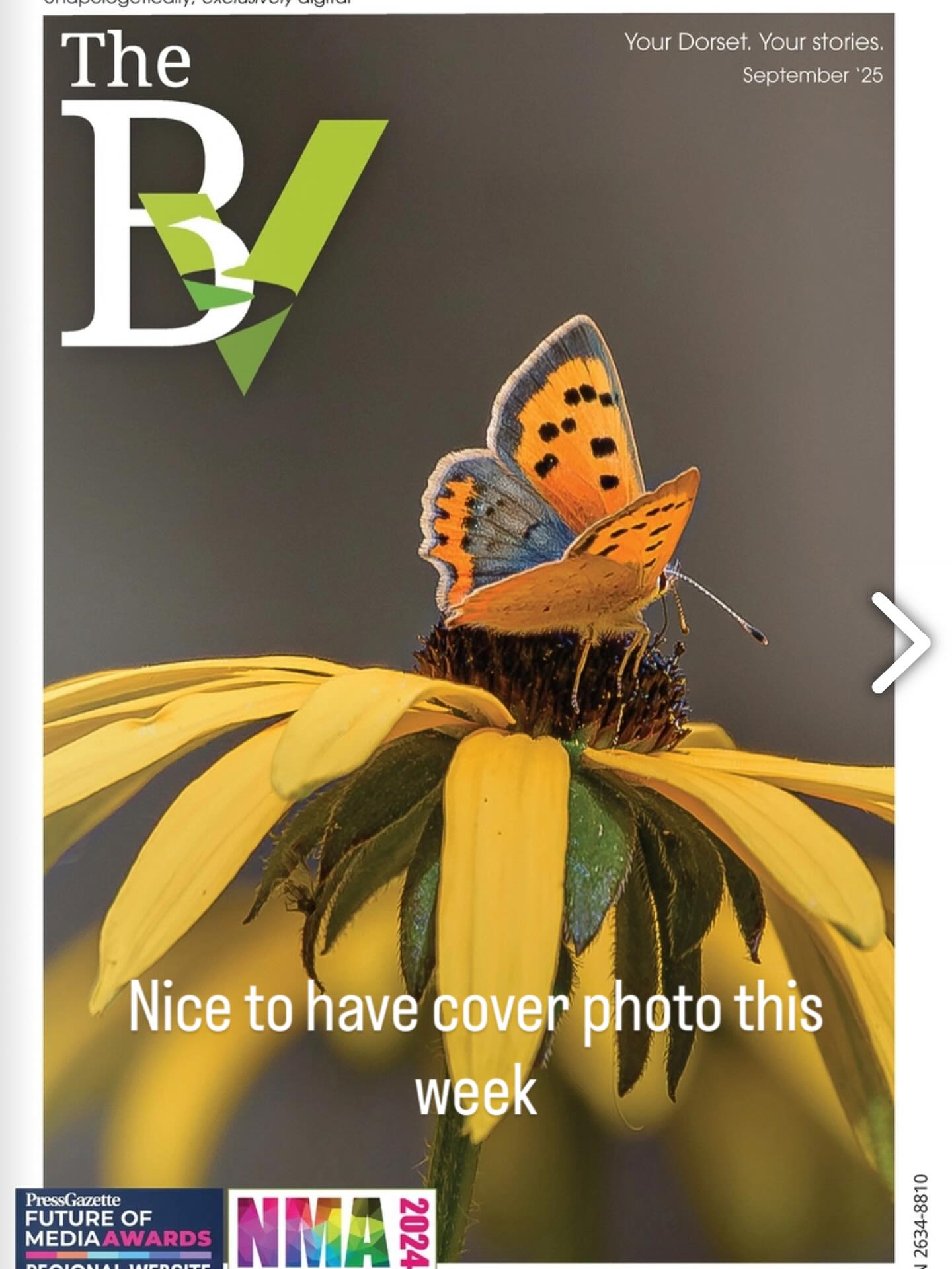 Photograph of butterfly on flower used for cover of magazine