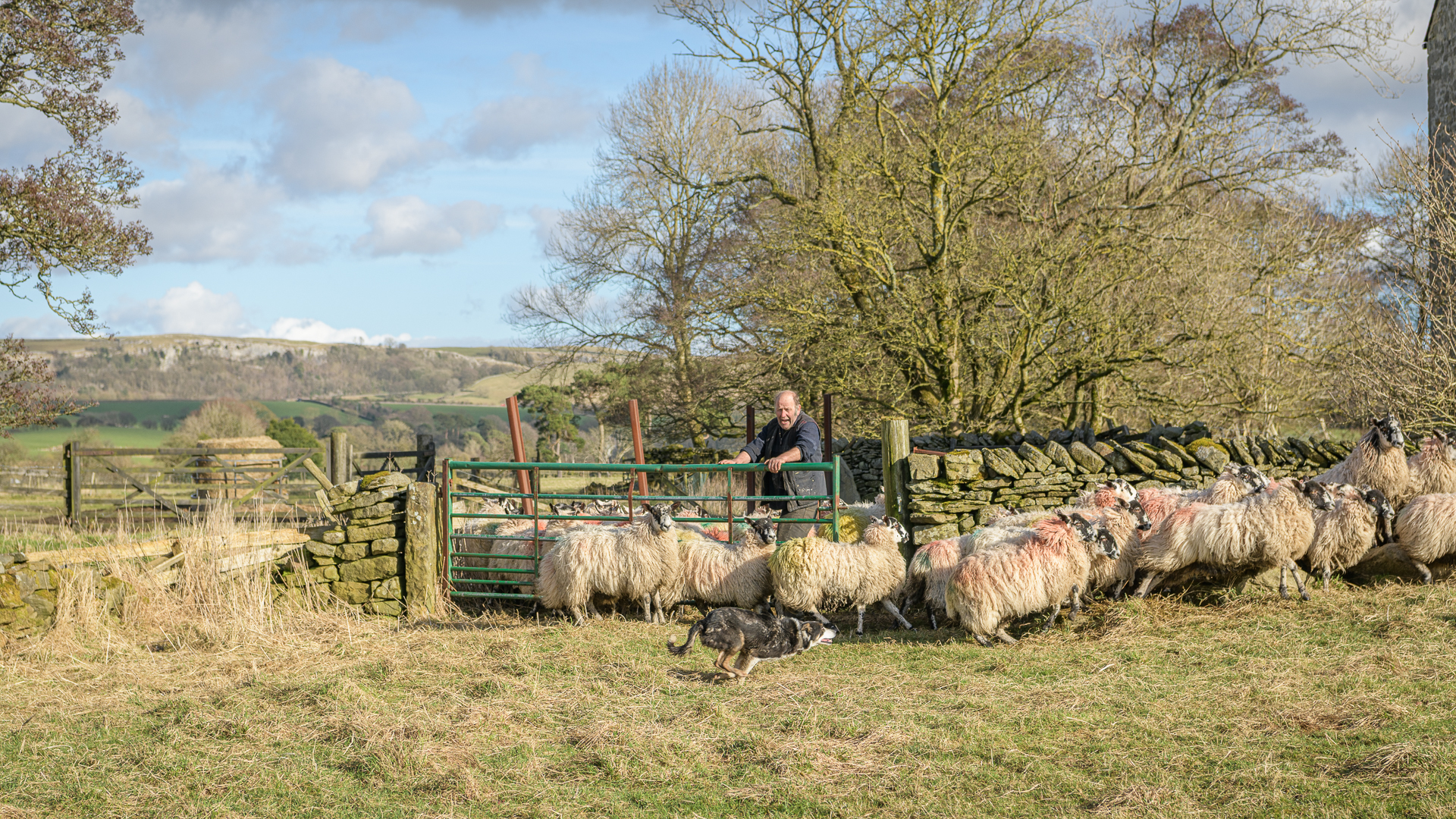 Dales Shepherd deals with breakaway by Brian