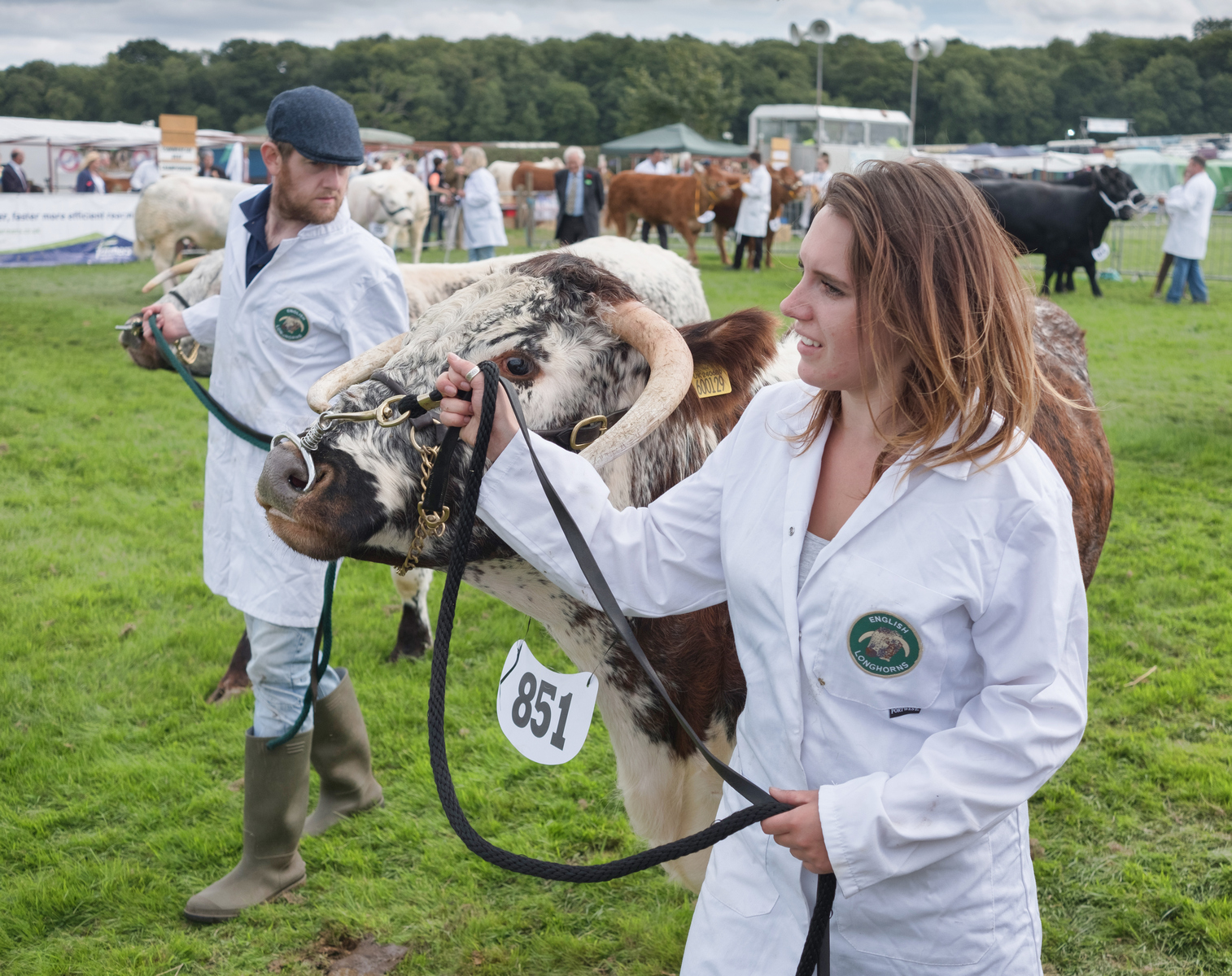 English Longhorn by Lachlan