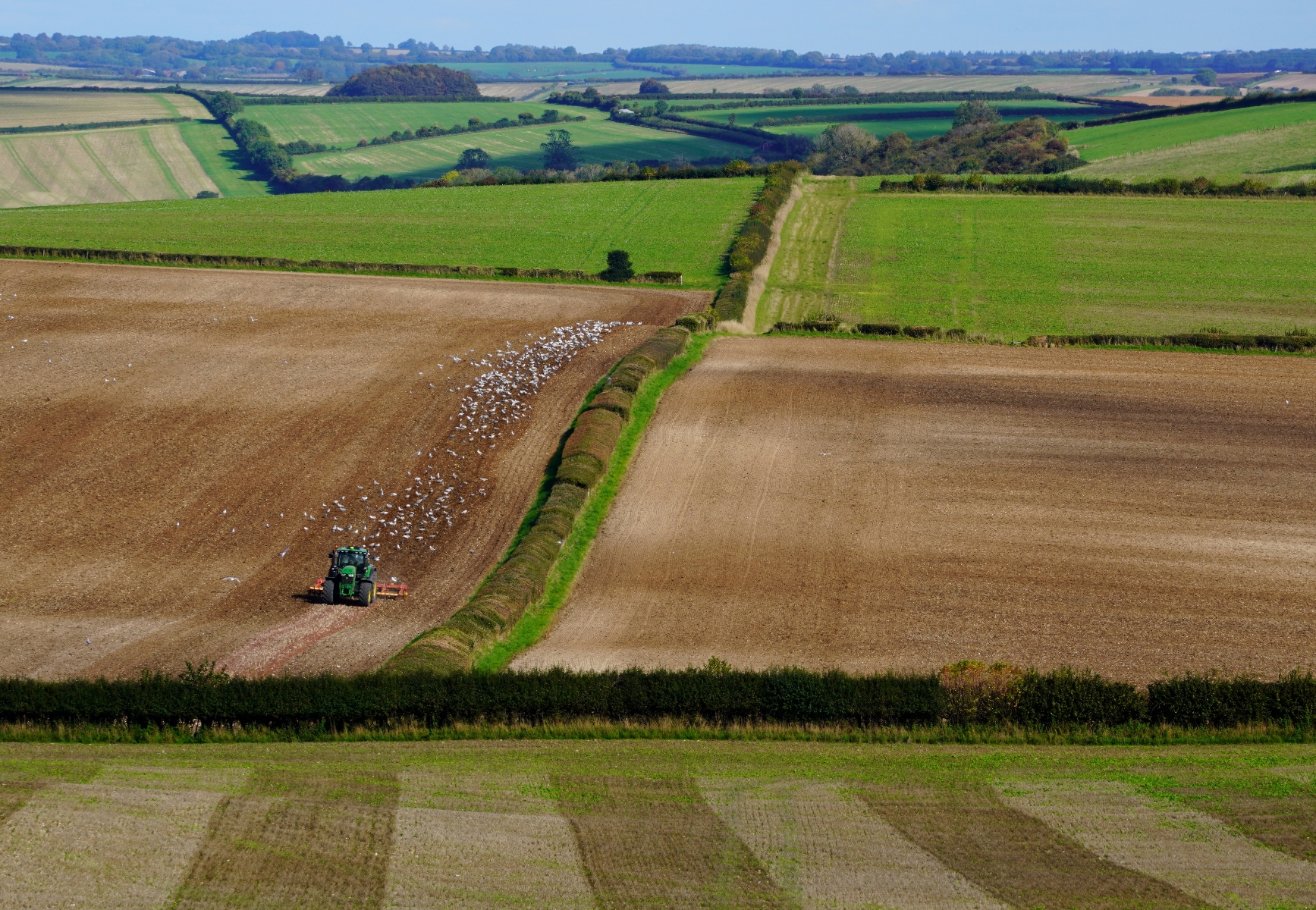Ploughing print by Alison
