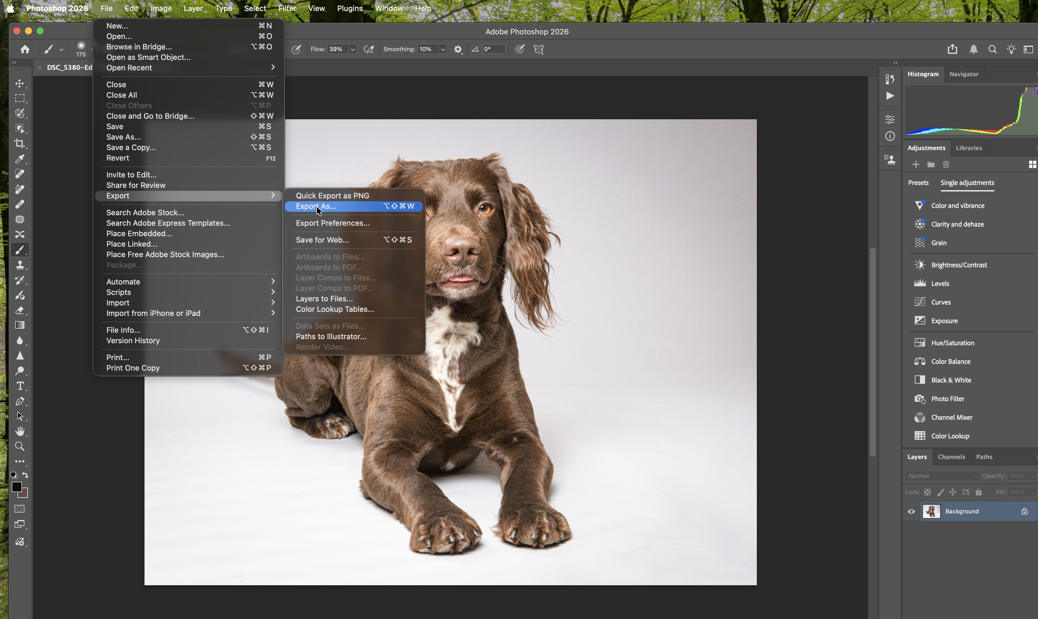 Image of Photoshop menu selection