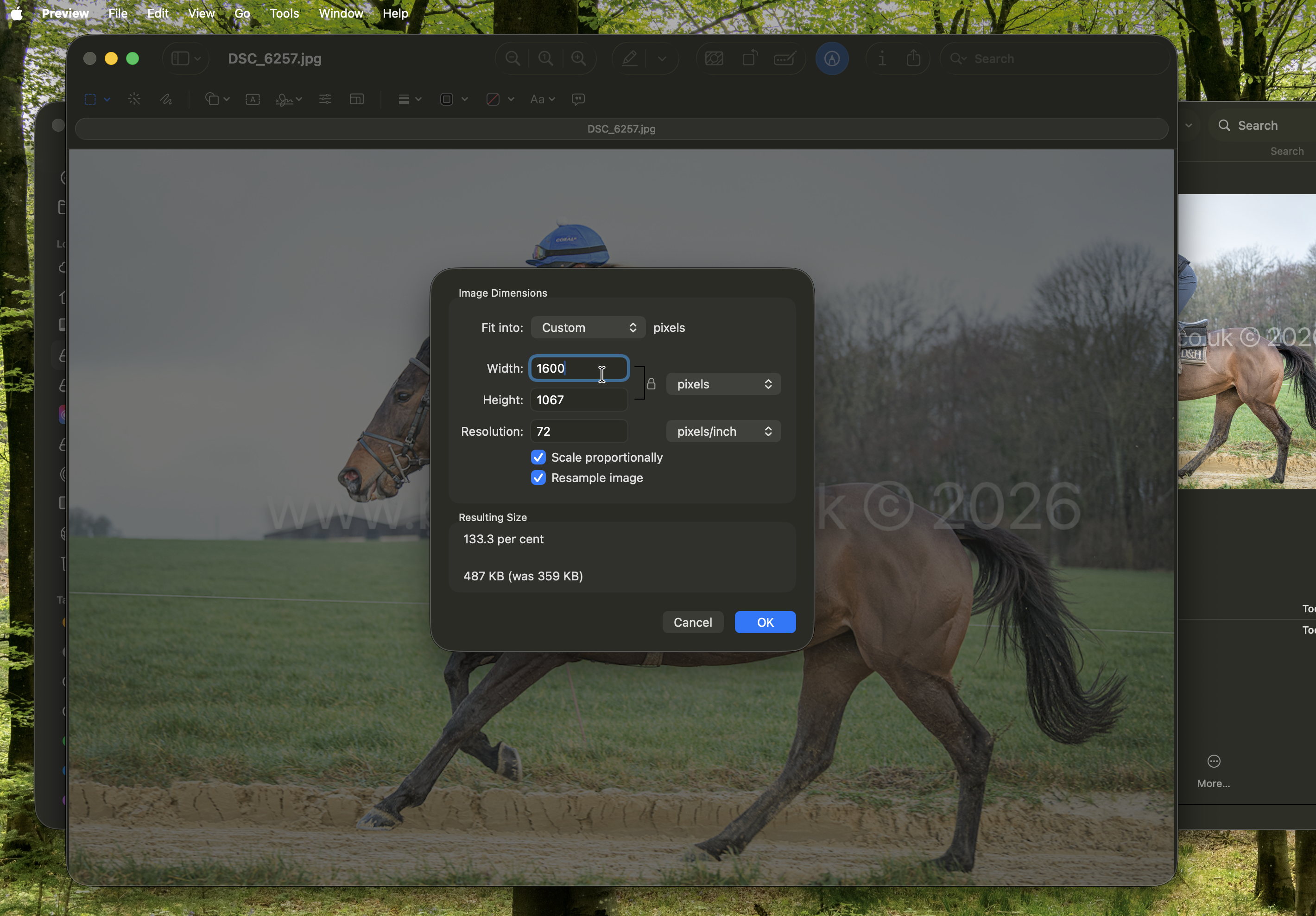 Image of Preview set size